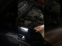 FORD FUSION FUSION PLUS