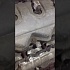NISSAN ALMERA SE TD