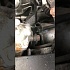 KIA SEDONA LE CRDI